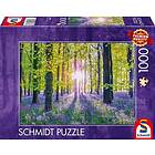 Schmidt : Assaf Frank Tranquil Bluebell Woods (1000)