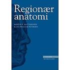 Regionær anatomi