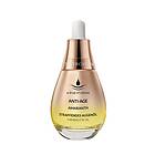 Tautropfen Amaranth Firming Eye Oil 15ml