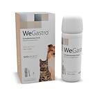 Wepharm WeGastro oral suspension 60ml