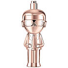 Karl Lagerfeld Ikonik Woman EdP 100ml