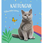 Titta och känn. Kattungar