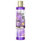 Pantene Pro-V Miracles Anti-Brassiness Purple Shampoo 225ml Schampo hos Luxplus