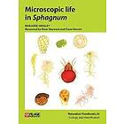 Microscopic life in Sphagnum