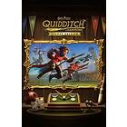 Harry Potter: Quidditch Champions - Deluxe Edition (PC)