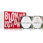 Blooming I/TEMS Love 2 Presentförpackning 