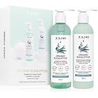 T-Lab Organics Organic Eucalyptus Set Presentförpackning 