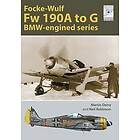 Flight Craft Special 2: The Focke-Wulf Fw 190