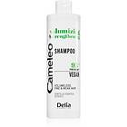 Delia Cosmetics Cameleo Volume & Strengthening Shampoo 400ml