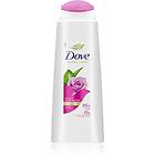 Dove Aloe & Rose Water Shampoo 400ml