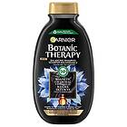 Garnier Botanic Therapy Balancing Shampoo 400ml