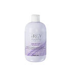 Inebrya Grey By Day Gentle Shampoo 300ml