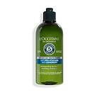L'Occitane 5 Ess. Oils Anti-Dandruff Shampoo 300ml