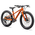 Specialized Riprock 20´´ Super Short 2025