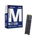 Biostar M760 SSD 256GB