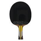 Double Fish Table Tennis Racket 6A+