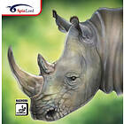 SpinLord Nashorn-Black-1 8