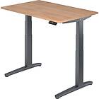 Optizen Bureau assis-debout électrique Frida Graphite Longueur120 XBHM