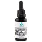 KÄÄPÄ Mushrooms Shiitake Extract Tincture 30ml