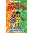 Meet the Maliks – Twin Detectives: The Emerald Emergency