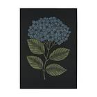 Ekelund Linneväveri Hydrangea kökshandduk 48x70cm