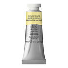 Winsor & Newton Professional akvarellfärg 14ml Naples Yellow 422