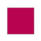 Rembrandt Oil Colour Tube Quinacridone Rose 366 15ml