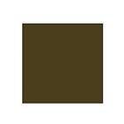 Rembrandt Oil Colour Tube Raw Umber 408 15ml