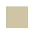 Rembrandt Oil Colour Tube Silver 800 15ml