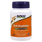 Now Foods Gr8-Dophilus, 60 vcaps