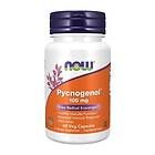 Now Foods Pycnogenol, 100mg 60 vcaps