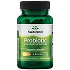 Swanson Probiotic with Digestive Enzymes 60 vcaps