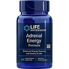 Life Extension Adrenal Energy Formula, 60 vcaps