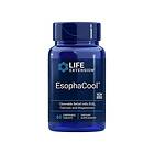 Life Extension EsophaCool 60 Chewable Tablets