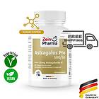 Zein Pharma Astragalus Pro 500/50, 50mg Astragaloside IV