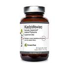 Kenay Boswellis Casperome Indena Phytosome Extract (60 Caps)