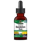 Nature's Answer Dandelion Root 2000 Mg (30ml)