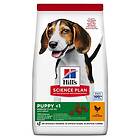 Hill's Science Plan Puppy Medium Chicken 12kg