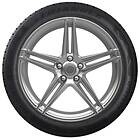 Triangle TW401 195/55 R 20 95H XL