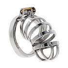 Hidden Desire Extreme Chastity Metal Cock Cage