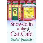 Snowed In at the Cat Cafe