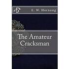 The Amateur Cracksman