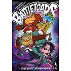 Battletoads The Lost Adventure