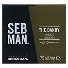 Sebastian Professional SEB MAN The Dandy Hårpomada För naturlig fixering 75ml