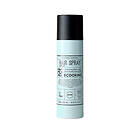 Ecooking Haircare Hair Spray 250ml