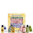 L'Occitane Hand & Body Christmas Crackers Collection