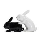 Winkee Bunny S+P Shakers Salt and Pepper Dispenser