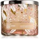 Bath & Body Works Spiced Citrus Grove doftljus 411g