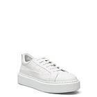 Apair Classic Designers Sneakers (Dam)