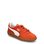 Puma Palermo
